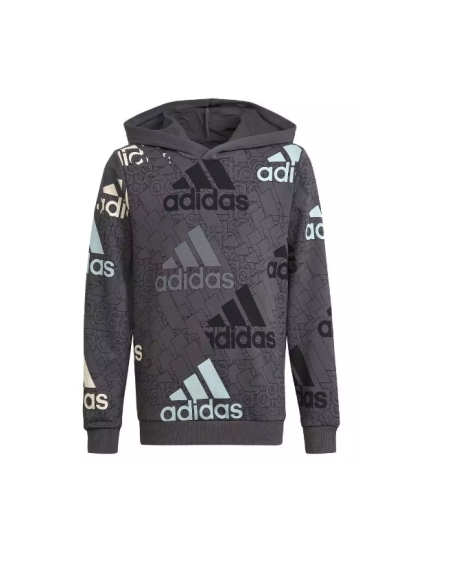 Sudadera Adidas gris niño U BL Logo