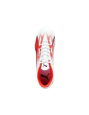 Puma Ultra Play Fg/Ag | Botas fútbol