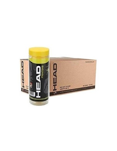 Pelotas Head Frontenis - Bote 3 Pelotas Homologadas FEP