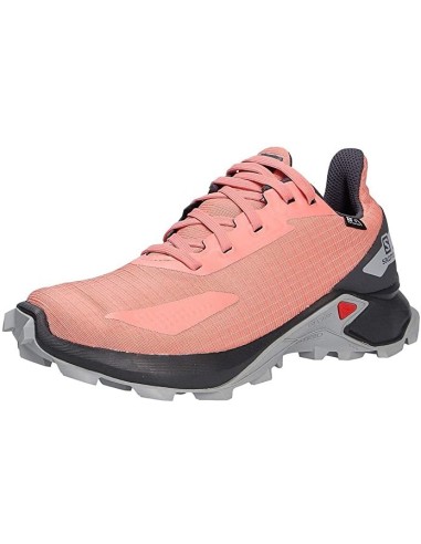 Zapatilla salomon ALPHACORSS BLAST CSWP J 411227